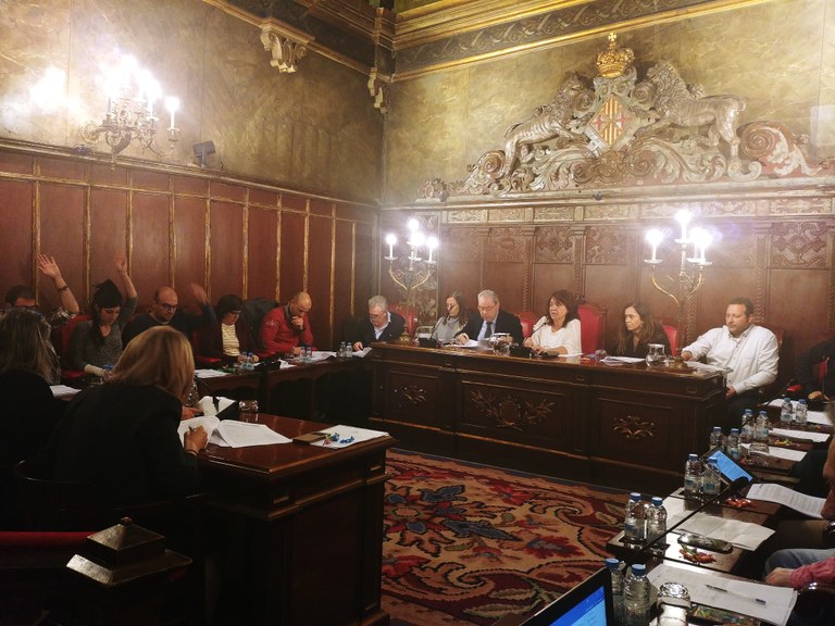 El Ple aprova les bases pel programa Reempresa i dona suport als presos polítics i exiliats