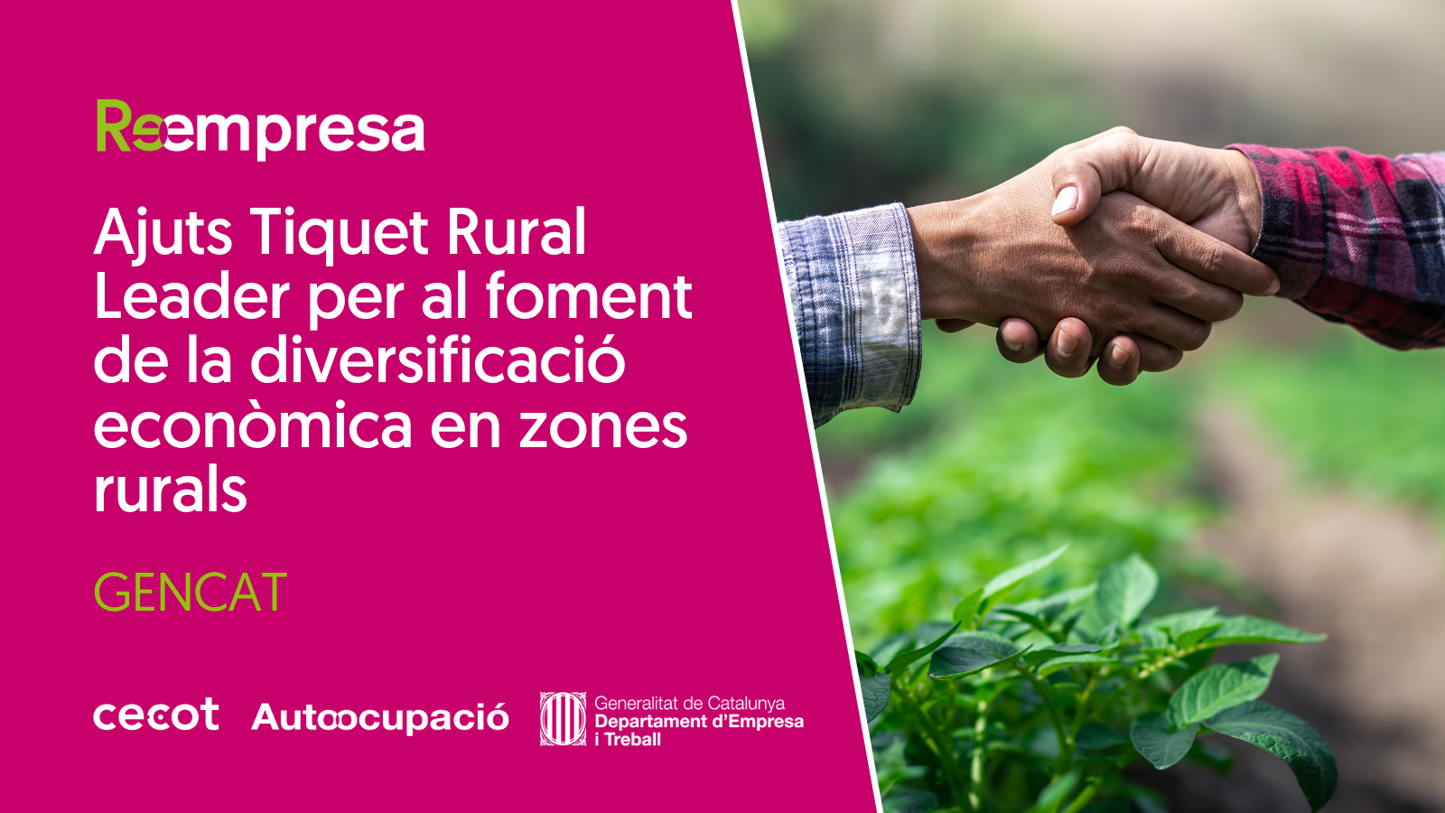 Ajuts Tiquet Rural Leader (1) Ajuts Tiquet Rural Leader (1)